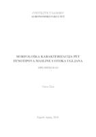 prikaz prve stranice dokumenta Morfološka karakterizacija pet fenotipova maslina s otoka Ugljana