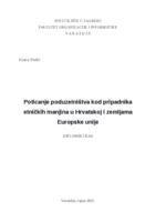 prikaz prve stranice dokumenta Poticanje poduzetništva kod pripadnika etničkih manjina u Hrvatskoj i zemljama Europske unije