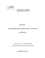 prikaz prve stranice dokumenta Analiza hidrograma velikih voda na VS Jasenovac