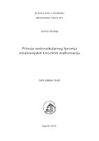 prikaz prve stranice dokumenta Principi endovaskularnog liječenja intrakranijskih krvožilnih malformacija