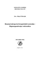 prikaz prve stranice dokumenta Biopsija bubrega kod kongenitalnih anomalija - oligomeganefronija i nefronoftiza