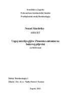 prikaz prve stranice dokumenta Uzgoj micelija gljive Pleurotus ostreatus na bukovoj piljevini