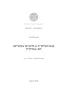 prikaz prve stranice dokumenta Network effects in systemic risk propagation