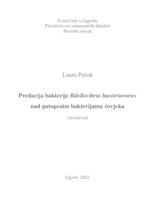 prikaz prve stranice dokumenta Predacija bakterije Bdellovibrio bacteriovorus  nad patogenim bakterijama čovjeka