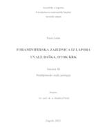prikaz prve stranice dokumenta Foraminiferska zajednica iz lapora uvale Baška, otok Krk