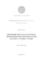 prikaz prve stranice dokumenta Mehanizmi regulacije koštanih morfogenetskih proteina putem željeza u tkivima i plazmi