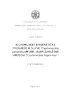 prikaz prve stranice dokumenta Biokemijske i epigenetičke promjene u gljive Cryphonectria parasitica (Murr.) Barr zaražene virusom Cryphonectria hypovirus 1