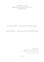 prikaz prve stranice dokumenta Katalitičke RNA - molekulski fosili RNA-svijeta