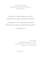 prikaz prve stranice dokumenta Ugroženost i zaštita pilastih premosnika (Sphenodon punctatus i Sphenodon guntheri)