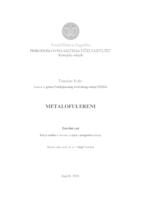 prikaz prve stranice dokumenta Metalofulereni