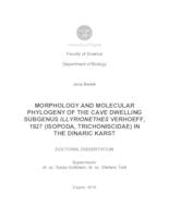 prikaz prve stranice dokumenta Morphology and molecular phylogeny of the cave dwelling subgenus Illyrionethes Verhoeff, 1927 (Isopoda, Trichoniscidae) in the Dinaric karst