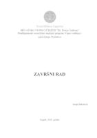 prikaz prve stranice dokumenta Etnički sukob u Bosni i Hercegovini sa studijom slučaja genocida u Srebrenici